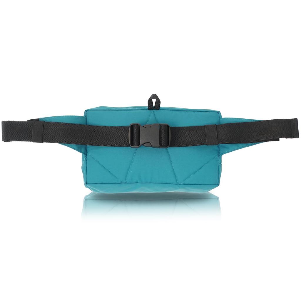 DELFY Compact Waist Bag Waterproof, Lightweight, (WT-380-3803)