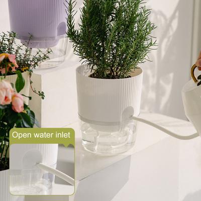 Yousheng Selbstbewässernder Pflanztopf Orchideentopf mit Dochtschnüren Blumentopf mit Drainagelöchern Transparenter Wasserbehälter für Zimmerpflanzen Zuhause