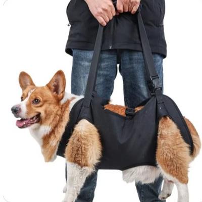 Verstellbarer Riemen Hundeschlinge Träger Verdickter Griff Haustier Hebegeschirr Sicherheit Hund Hebegeschirr Gehen