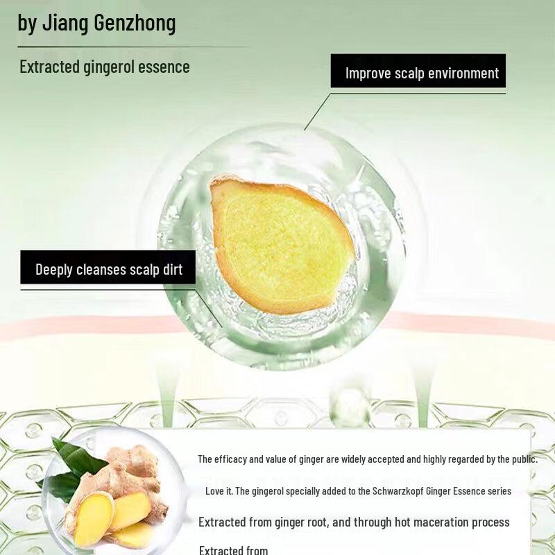 Schwarzkopf Ginger Essence Scalp Purifying Shampoo
