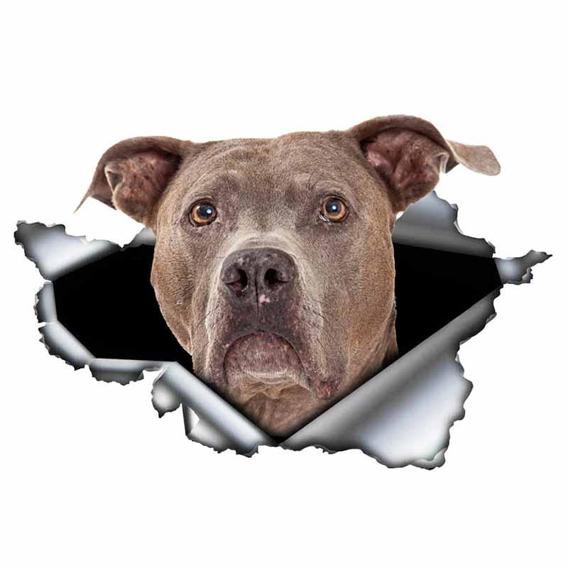 Aufkleber Blauer Pitbull Autoaufkleber Kreativer Zerrissener Metallaufkleber Wasserdichtes Autostyling Haustier Autodekoration