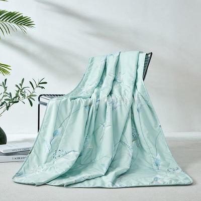 Mengjie Thin Summer Quilt