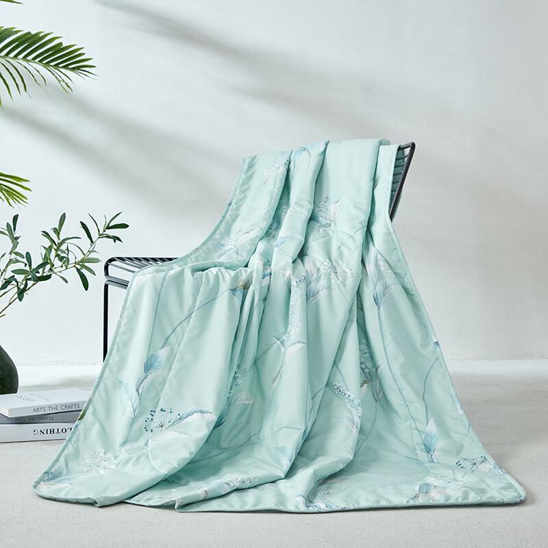 

MENGJIE Twilight Mint Summer Quilt