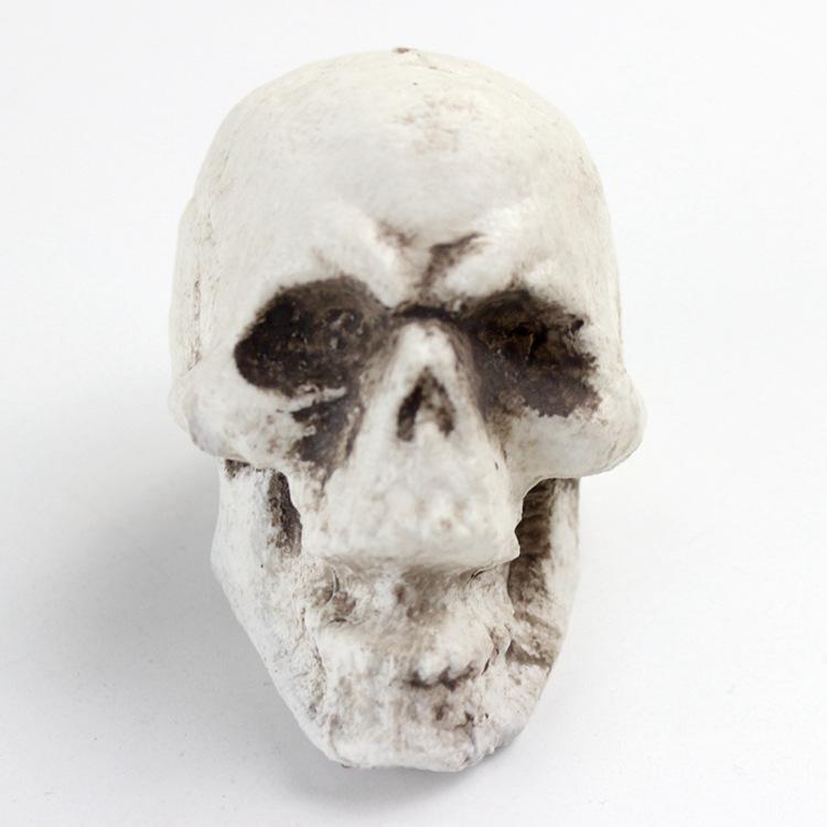 Shuomei menschliches Schädelmodell für Halloween-Dekoration & Spukhaus-Ornamente
