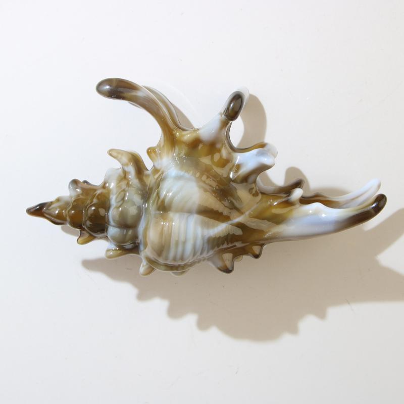 1Pcs Hair Claw Elegant Shark Clip Creative Conch Hairpin Colorful Gift For Summer Beach Headwear Hair Accessories