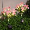 Solar-Powered 7-Head Lily Flower Light with 42 LED Beads, Outdoor Pink Garden Solar Light for Outdoor Decoration