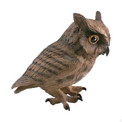 Owl Figurine for Educational Purposes And Home Display