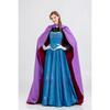 Rozen Elsa EA Ice Queen Bar Mitzvah Halloween Costume Anna Princess Dress Costume