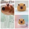 Foam Net Bath Scrubber Cartoon Bath Sponge Body Cleaning Capybara Bath Balls  Foaming