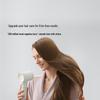 Laifen SE 2 High-Speed Hair Dryer CN plug (adapter included)