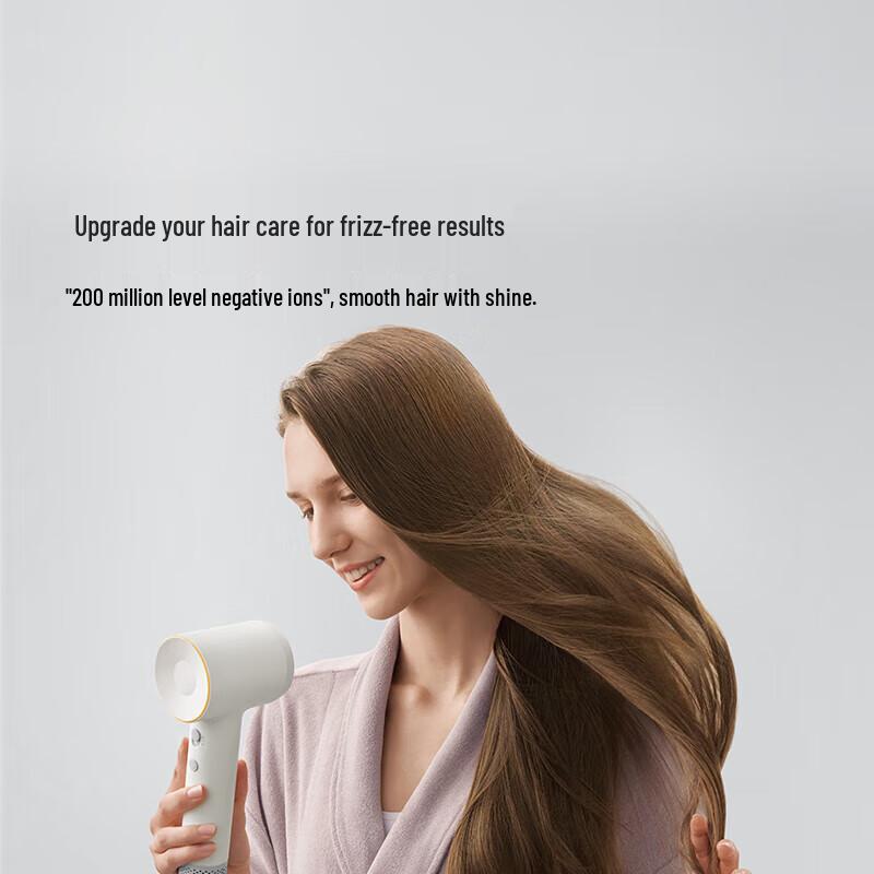 Laifen SE 2 High-Speed Hair Dryer CN plug (adapter included)