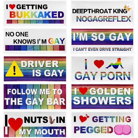 10 PCS Car Funny LGBT Stickers, Waterproof Prank Rainbow Bumper Stickers With Humor Text, Universal Colorful Gay Pride Decals For Vehicle Luggage