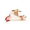 Spring Theme Swallow Series Hair Claw Acetate Material Hairpin Headwear  Fashion Wear