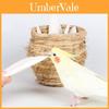 Premios Masticables para Pájaros Mascotas con Hueso de Jibia Calcificado Inodoro para Loros y Pájaros Pequeños