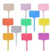 55PCS T-shaped Plastic Plant Label Waterproof Reusable Flower Vegetable Herbal Potted Classification Tag Garden Nursery Sign