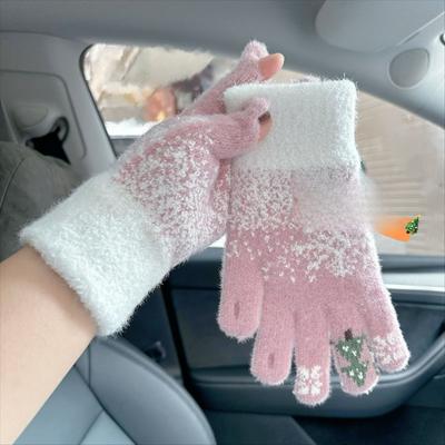 Accessori – Guanti, mezzi guanti e muffole
