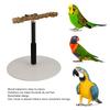 Parakeet Bird Play Stand Bird Perch Parrot Stand Bird Rack Bird Resting Place Height Adjustable 30cm-94cm