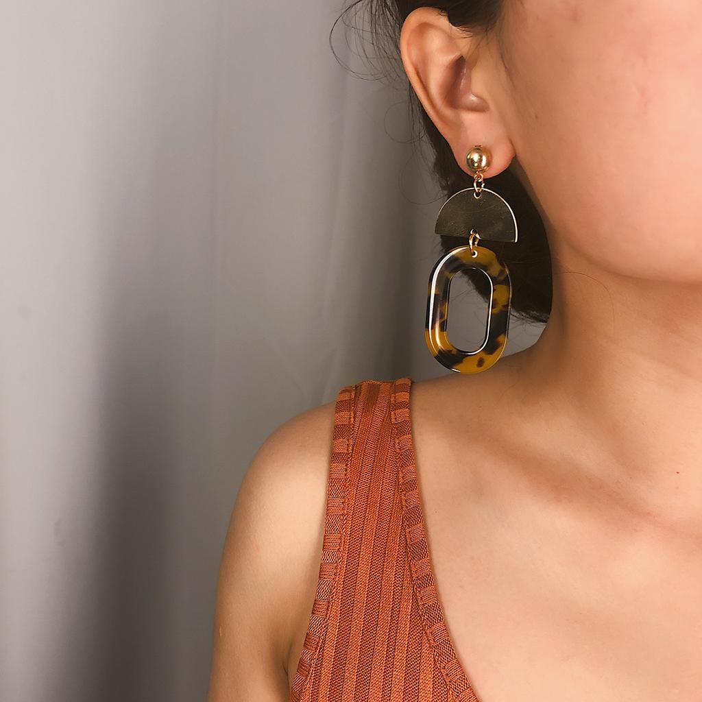 Retro Simple Acetic Acid Leopard Print Earrings Women, Temperament Versatile Geometric Oval Splicing Earrings Stud Earrings