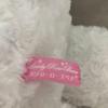 [USED] Fluffy Large White Bear 67cm Teddy Bear