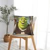 Shreks Meme Funny Square Pillowcases Polyester Sofa  Cushion Cover Funny Home Decoration Throw Pillow Case 45*45