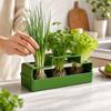 Hydroponic Planter -Free Recirculating Plant Growing Box for Indoor Gardening