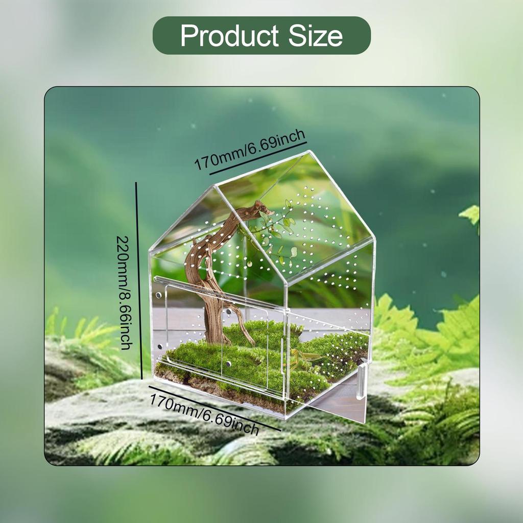 Terrarium für Springspinnen, Futterbox, kleine Zuchtbox aus Acryl