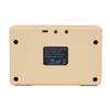10W Guitar Amplifier Portable Practice Guitar Amp Small Electric Amplifier with Volumes Control Speaker Effect Parts