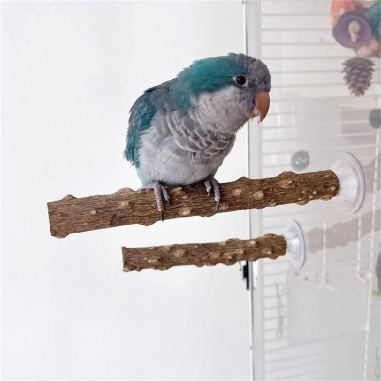 3lots Chewing Exercise Stick Pet Parrots Stand Solid Wood Standing Stick Poles Bird Cage Accessories Pet Toy