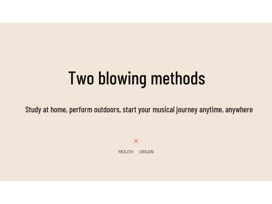 Chimei Lepson 32/37-Tasten Melodica für Schüler und Anfänger - Klassen- und professionelles Aufführungsinstrument