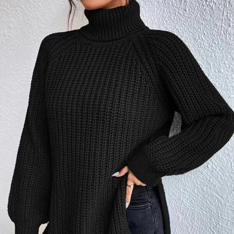 Women's Fashion Casual Fall Winter Solid Color Print Long Sleeve High Neck Sweaters