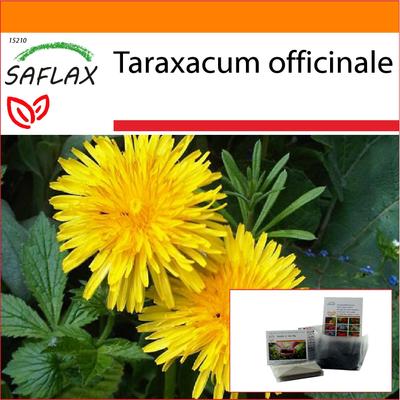 Garden in the Bag - Löwenzahn - 200 Samen - Mit Substrat im passenden Standbeutel - Taraxacum officinale
