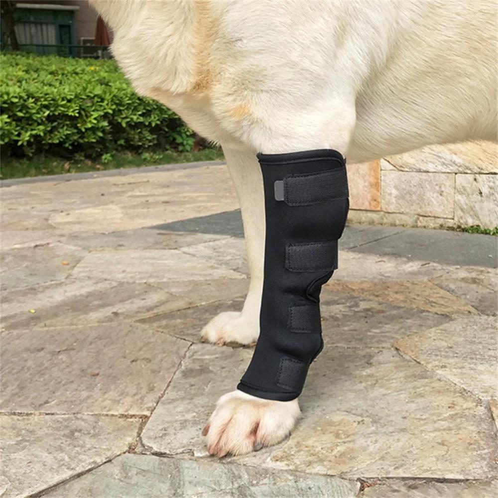 2Pc Dog Knee Brace Leg Brace for Sprain Arthritis Joint Pet Dog Back Leg Support