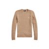 Polo Solid Color Round Neck Casual Long Sleeve Knit Sweater Women Sweater Brown WMPOSWENC020722-260