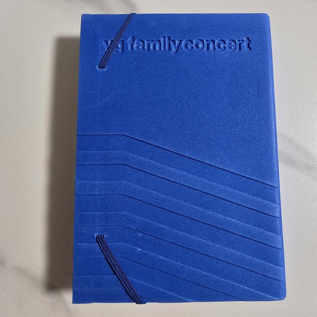 [USED] YG FAMILY CONCERT Photobook +-