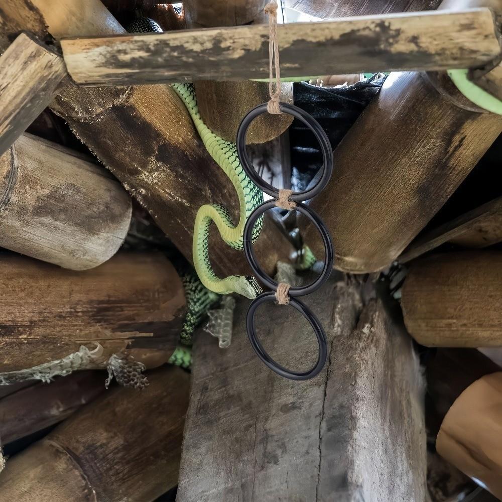 3 Ring Reptile Climbing Toy Acrylic Climbing Hoop Chain Gecko Climbing Rings  Vivarium Cage