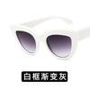 Vintage Cat Eye Sunglasses Woman Brand Designer Retro Sun Glasses Female Fashion Mirror Outdoor Shades Gradient