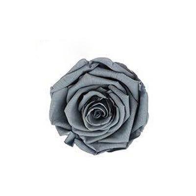 P-1 21 Preserved Roses in a Box Wedding Decor Floral Arrangements Wedding Dried Flower Home Decor Baby Shower Flowers 2~3cm