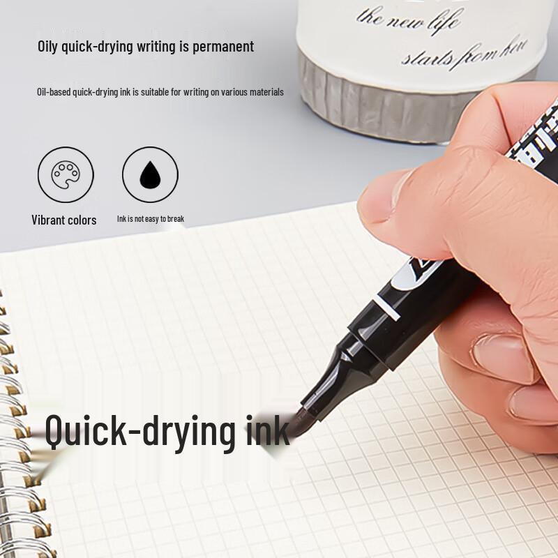 Canglongxing Waterproof Oil-Based Broad Tip Marker Pen 10-Pack