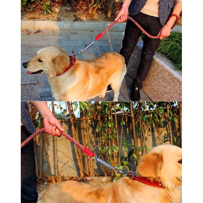 Heavy and Duty Large Dog Leash Genuine Leather Braided Dog Training Leash for Shepherd Medium Large Dogs Pet Supplies