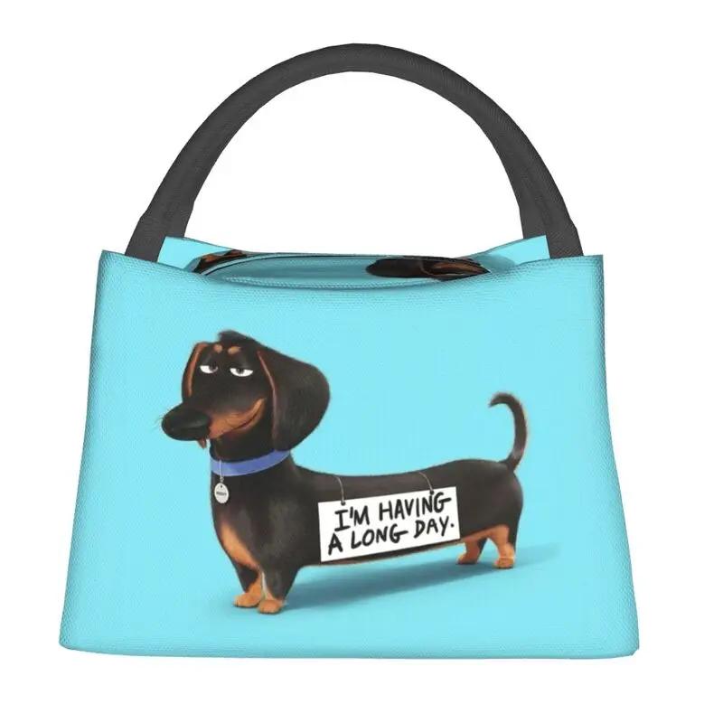 

Kawaii Dachshund Утепленные сумки для обеда для женщин Портативный кулер для сосисок и барсуков Термосумка для бенто Офис Пикник Путешествия 28x17x16CM бежевый
