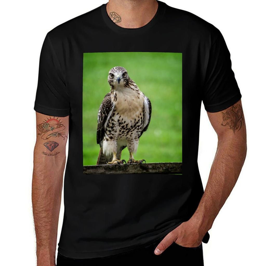 Beautiful Red Tail Hawk On A Railing Tshirt Casual Soft Cotton Short Sleeve Tee Tshirt