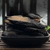 500g Organic Cistanche Tubulosa Slices Herbal Tea Chinese Health Tea