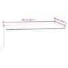 Automatic Retractable Awning 600x350 cm Blue and White