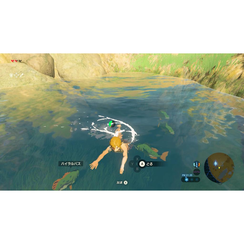 The Legend of Zelda: Breath of the Wild Nintendo Switch 2 Edition - Switch2 Game (Japanese Edition)
