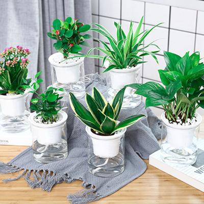 Blumentopf, stabiler, selbstbewässernder, automatischer, wasserabsorbierender Übertopf aus Kunstharz für zu Hause