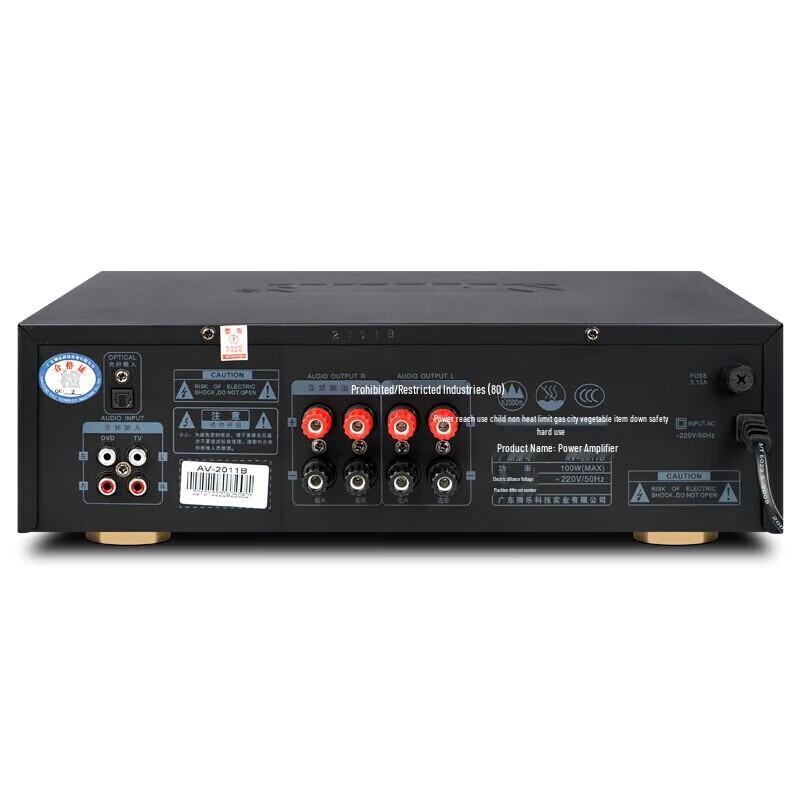 SHILE Conference Audio System with Bluetooth Amplifier and Wireless Microphones CN plug (adapter included)