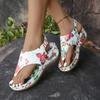 Fashion Shoes Female 2025 Brand Pinch Toe Women's Slippers Fashion Printing Beach Slippers Women Summer Plus Size Wedge Slippers Zapatos