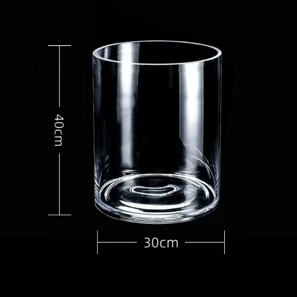 Transparent Glass Flower Vase & Hydroponic Container - Floor Ornament