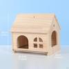 Bird House Hideaway Easy Assembly Detachable Decorative Toy Perch Parrot Bed for Parakeet Cockatiels