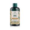 Ginger Scalp Care Shampoo 250ML (42556)